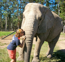 Anne Wendell in South Africa